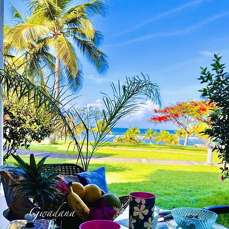 Acces Direct Plage, Vue Mer D'Exception, Les Gwada Studios, Village Vacances Сент-Анн Экстерьер фото