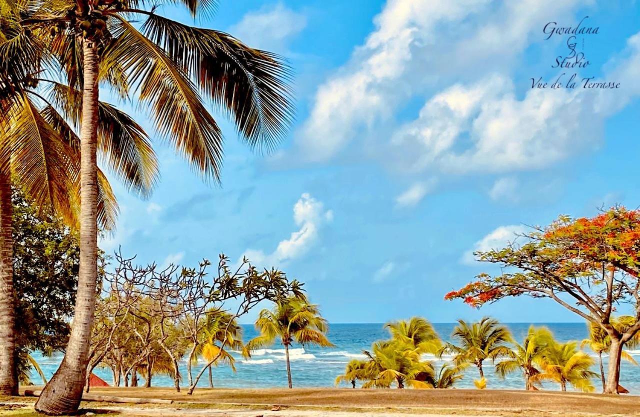 Acces Direct Plage, Vue Mer D'Exception, Les Gwada Studios, Village Vacances Сент-Анн Экстерьер фото