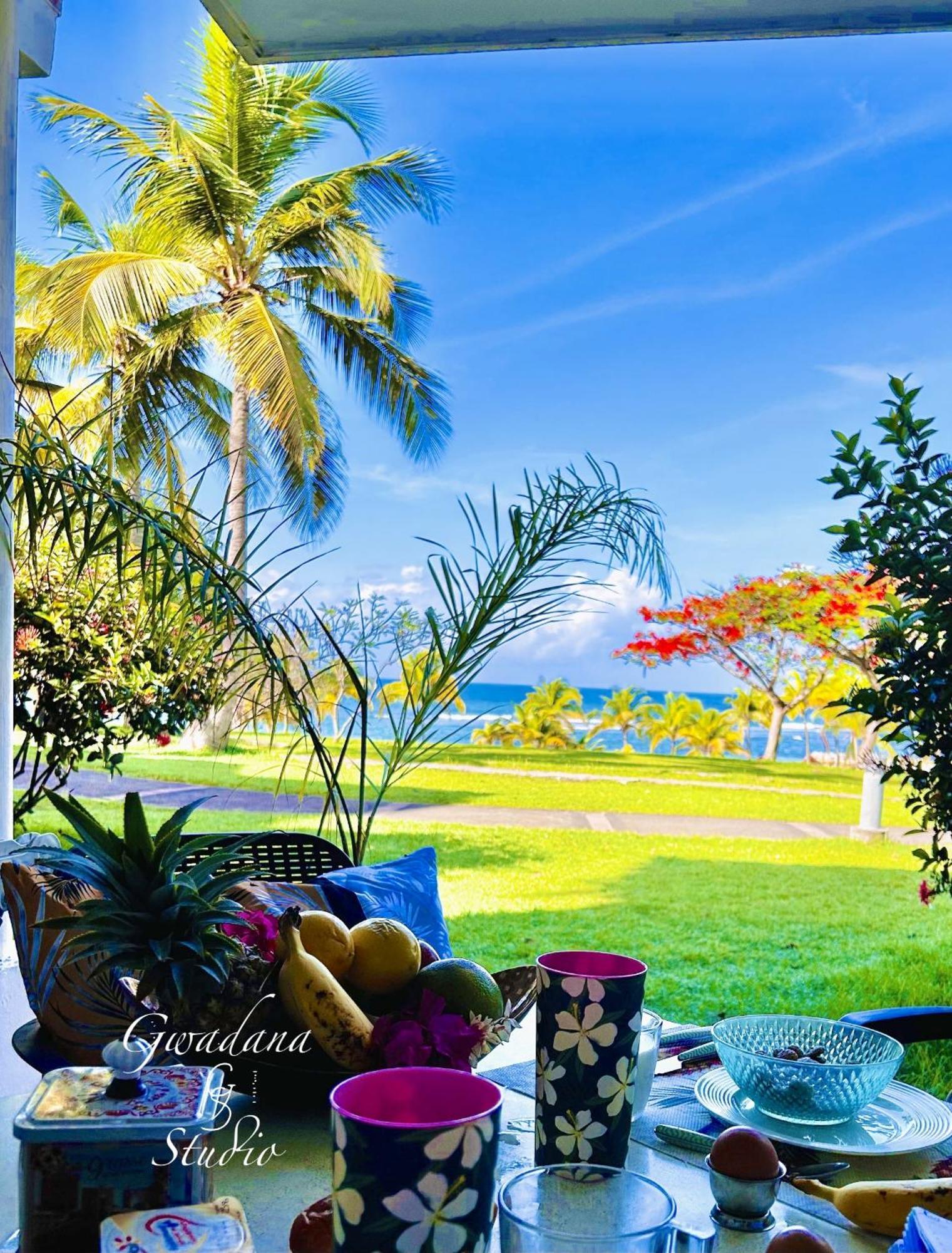 Acces Direct Plage, Vue Mer D'Exception, Les Gwada Studios, Village Vacances Сент-Анн Экстерьер фото